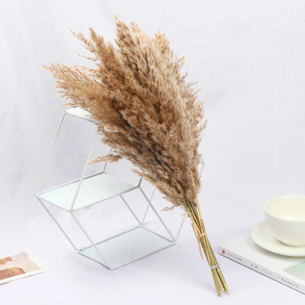 10/15Pcs Reed Natural Dried Bouquets Small Pampas Grass Real Flower Plant Stems Natural Material Shooting Props Home Decoration