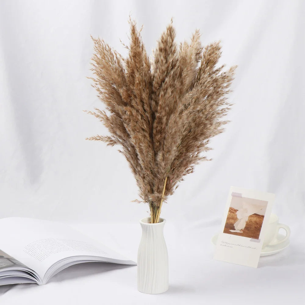 10/15Pcs Reed Natural Dried Bouquets Small Pampas Grass Real Flower Plant Stems Natural Material Shooting Props Home Decoration