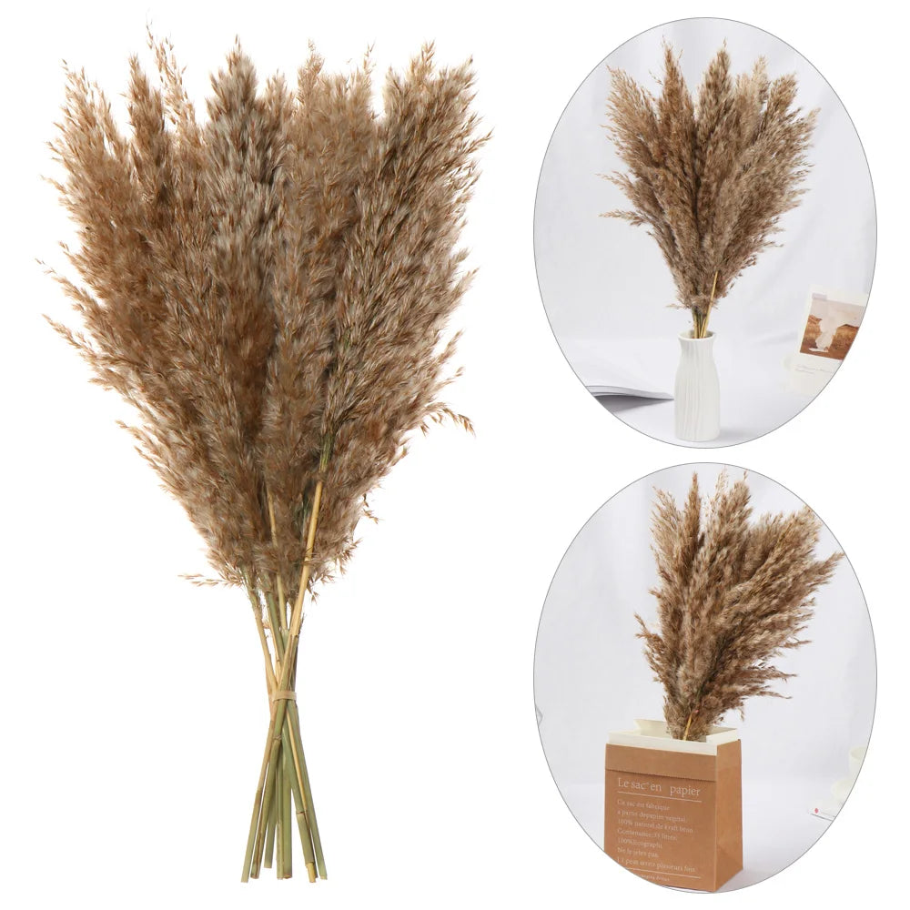 10/15Pcs Reed Natural Dried Bouquets Small Pampas Grass Real Flower Plant Stems Natural Material Shooting Props Home Decoration