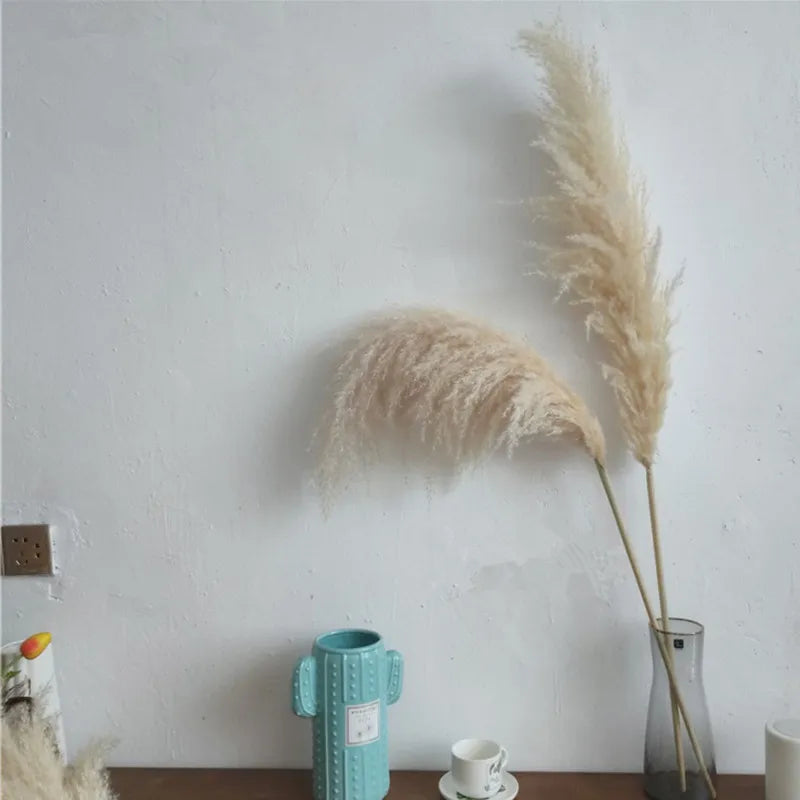 Natural Pampas Grass Large Size Dried Flower Bouquet Home Decor Tall Fluffy Stems Living Room Decor Wedding Backdrop