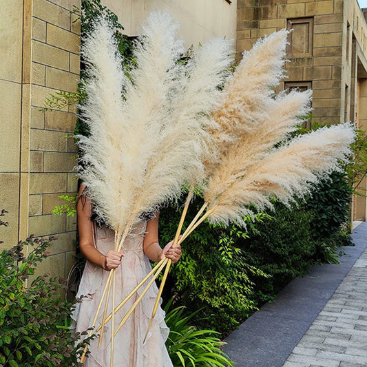 120cm Natural Dried Flower Reed Pampas Grass Boho Home Decor Wedding Decorations Farm Wedding Background Natural Pampas Grass