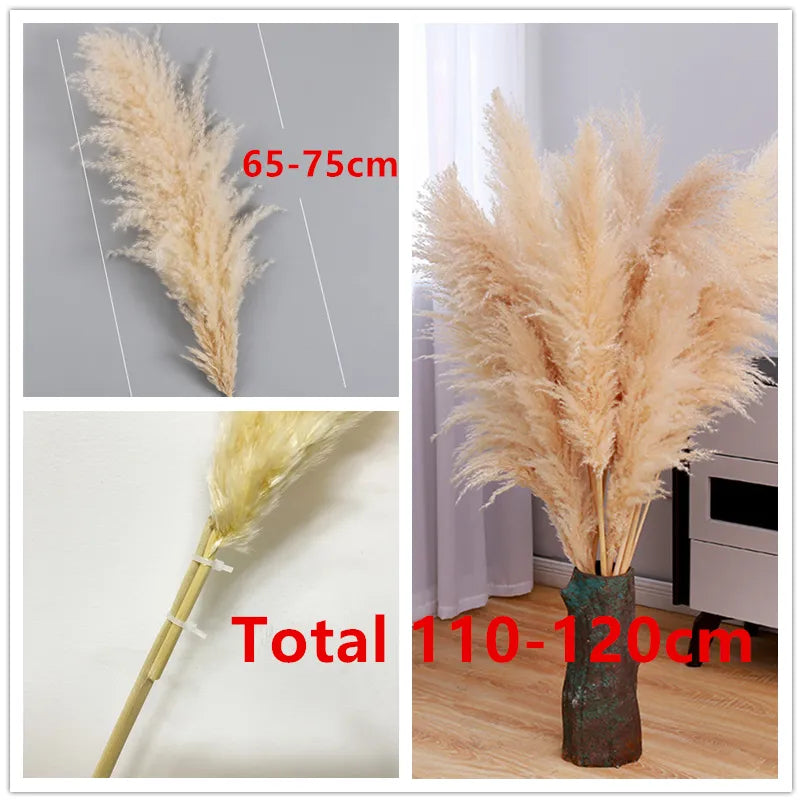 Pampas XXL Dry Pampas Grass 80-100cm,Home Decor,Wedding Natural Dried Flowers Wall Decor,Artificial Flowers for Christmas Decor