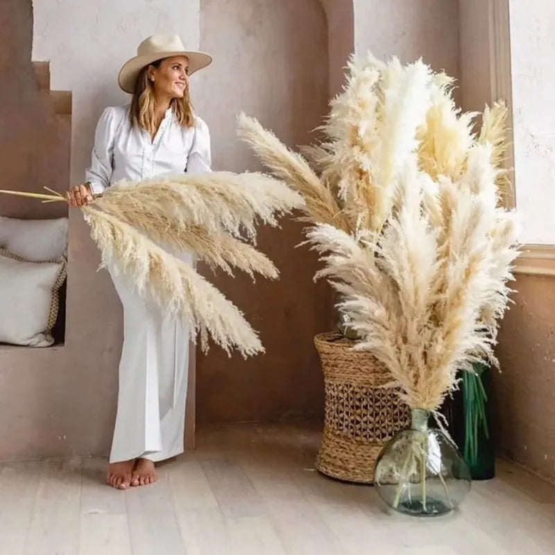 Natural Pampas Grass Large Size Dried Flower Bouquet Home Decor Tall Fluffy Stems Living Room Decor Wedding Backdrop