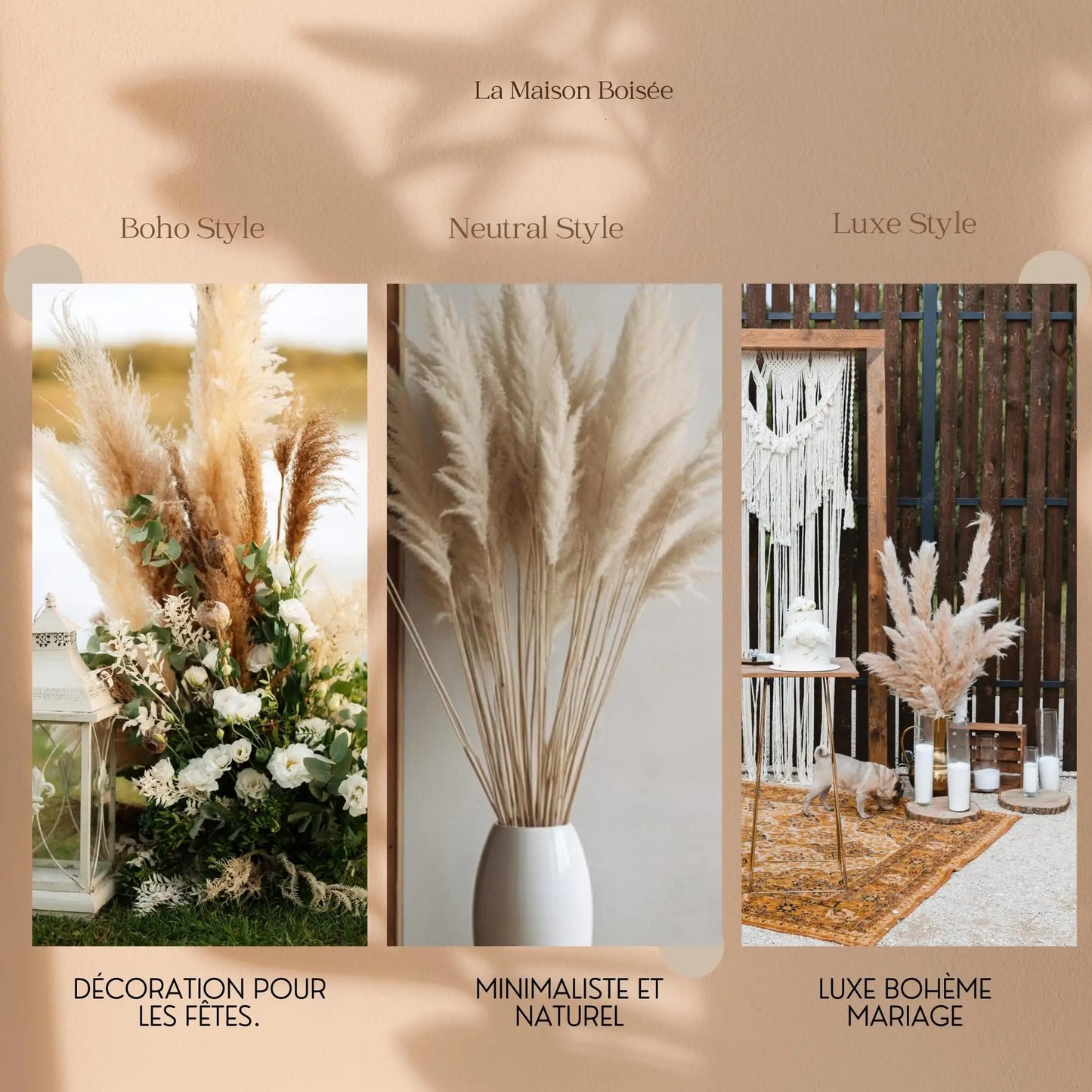 Pampas XXL Dry Pampas Grass 80-100cm,Home Decor,Wedding Natural Dried Flowers Wall Decor,Artificial Flowers for Christmas Decor