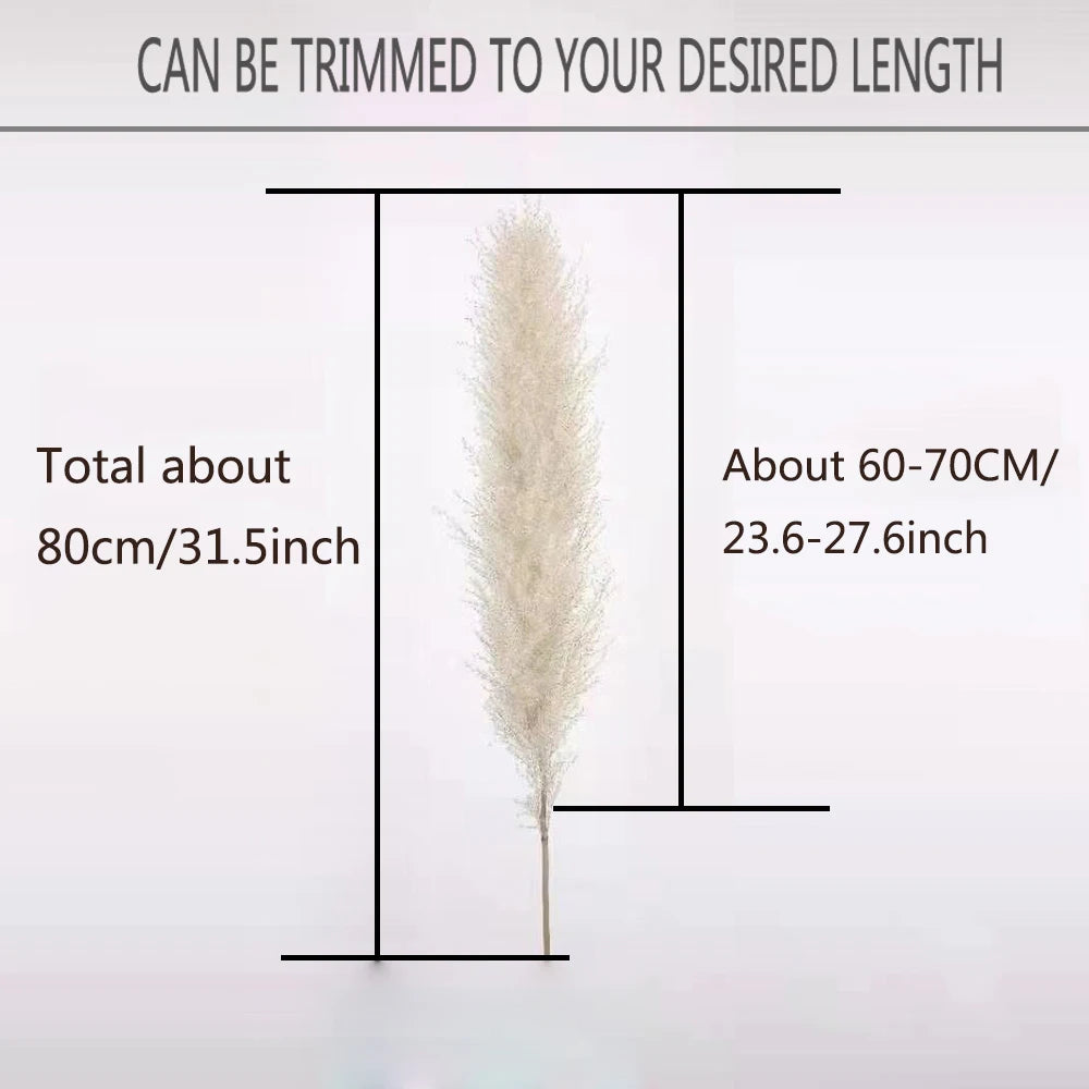 80cm Living Room Large Pampas Decor Natural Dried Pampas Grass Fluffy Pampas Bouquet Boho Long Dried Flowers Wedding Arch Decor