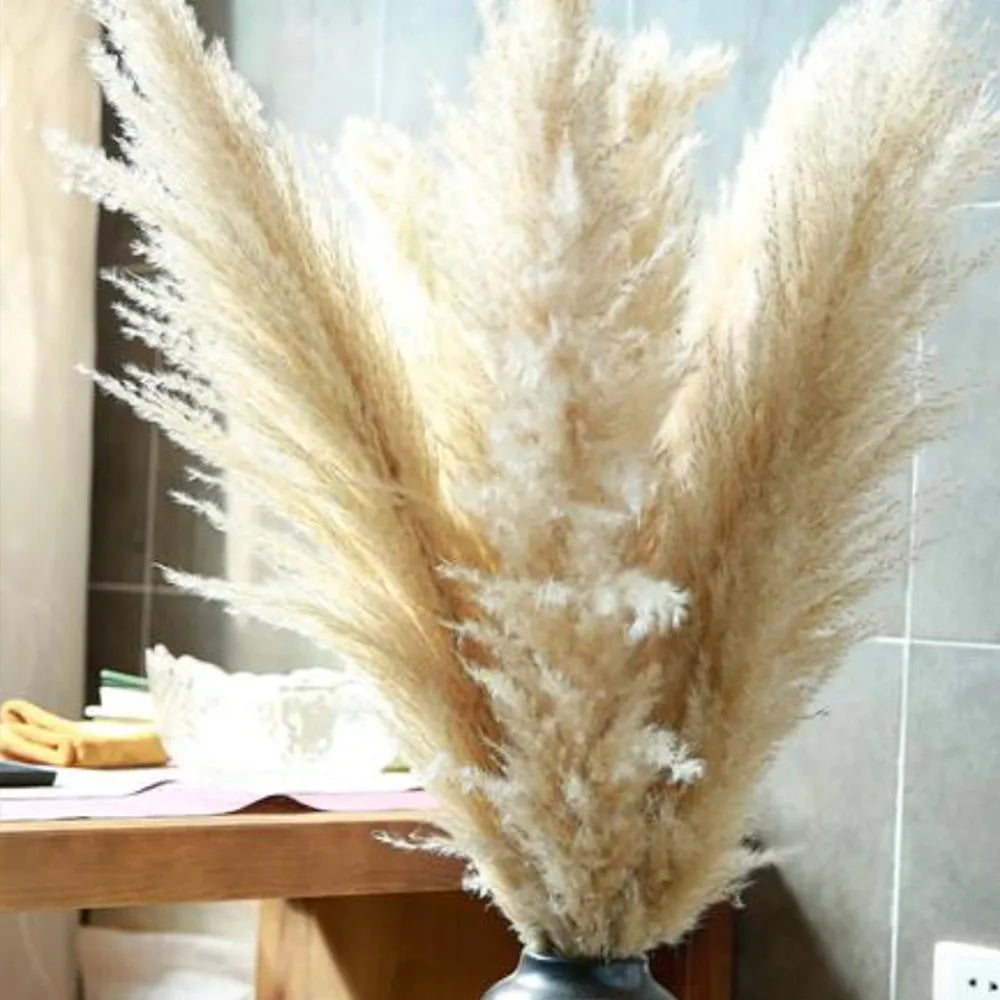 80cm Living Room Large Pampas Decor Natural Dried Pampas Grass Fluffy Pampas Bouquet Boho Long Dried Flowers Wedding Arch Decor